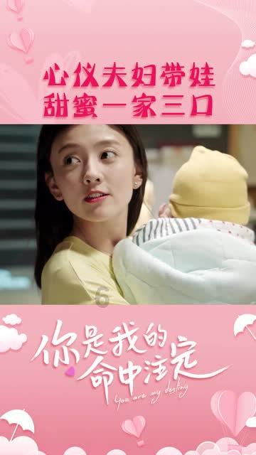 救援受困的火鸡
